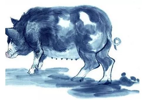 吃肉之肖打一生肖、深度解析与文化寓意