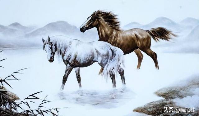 王码电脑与生肖的奇妙联结，积极解释与落实的转变