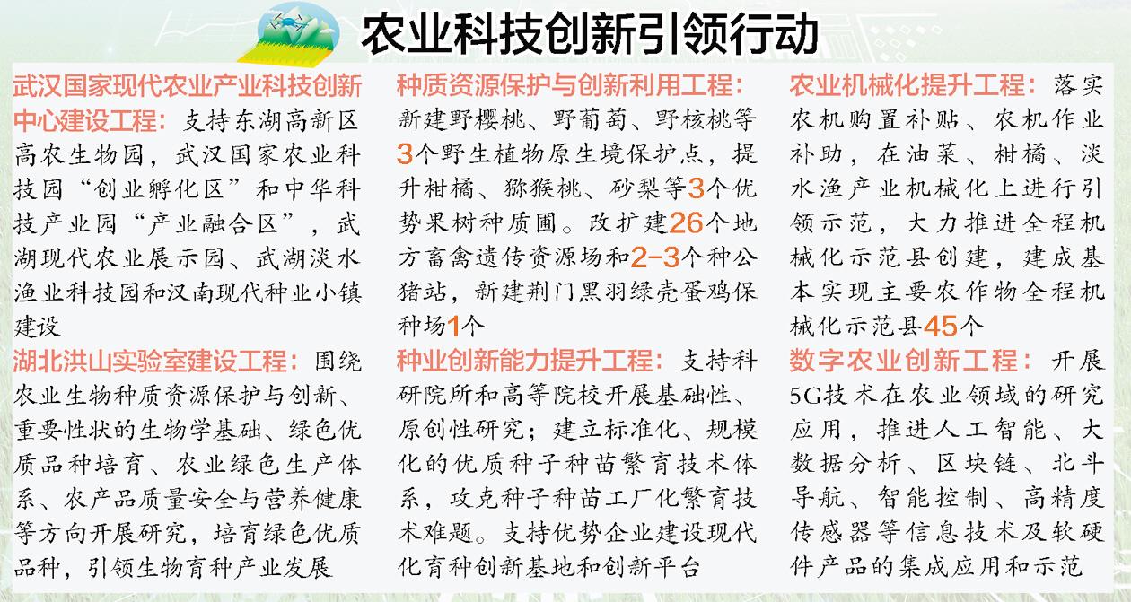 按图索骥打一生肖、绝佳作答落实解释