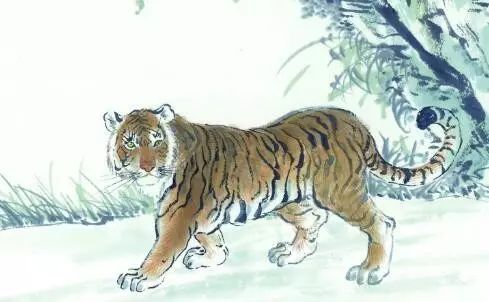 坐地虎打一生肖、真相解释落实