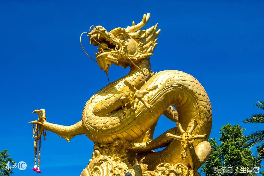 聪明伶俐的生肖，鼠—解读与解析