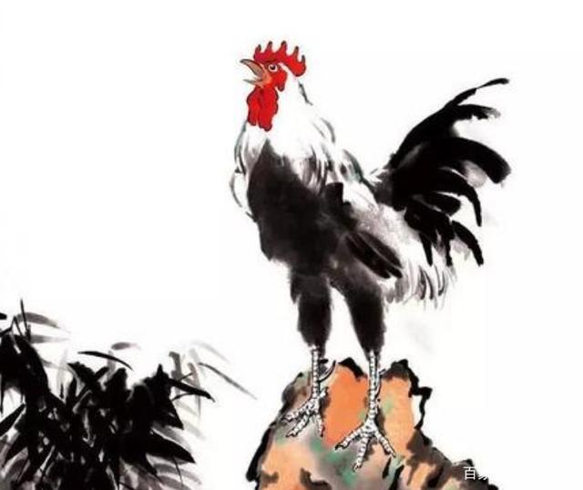 雄鸡一唱，生肖之谜与理想作答的落实