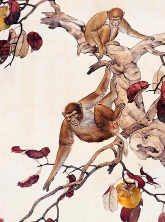 屋上土打一生肖、的故事与寓意