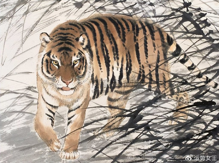 画虎不成打一个生肖、沉稳作答落实解释 画虎不成打一个生肖、沉稳作答落实解释