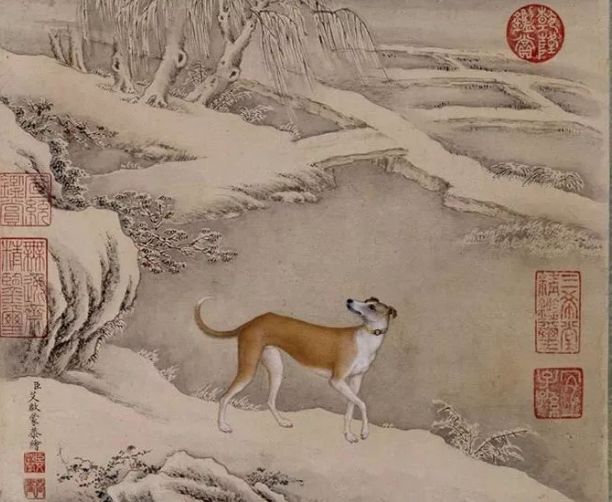 今期生肖话四美,揭秘背后的文化寓意 今期生肖话四美,揭秘背后的文化寓意