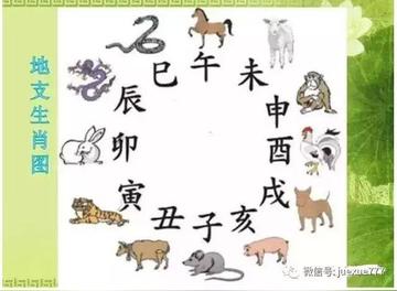 人生面不熟的生肖谜团，网络解释的深度落实