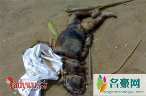 水鬼打一生肖、理想作答落实解释 水鬼打一生肖、理想作答落实解释