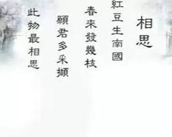 红豆生南国，揭秘打一生肖的奇妙谜题