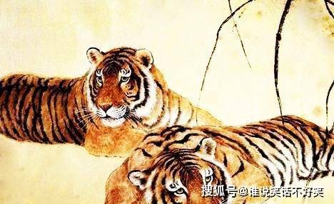 后车之戒打一生肖、背后的坚韧与不屈 后车之戒打一生肖、背后的坚韧与不屈