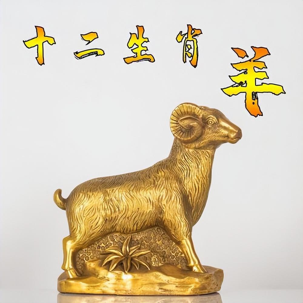 七来八来打一生肖,解密生肖中的变数与无限解释 七来八来打一生肖,解密生肖中的变数与无限解释