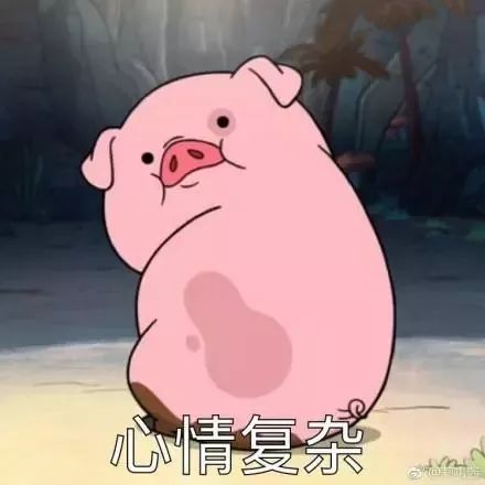 猪倚柱,不安分之选中的生肖奇趣 猪倚柱,不安分之选中的生肖奇趣