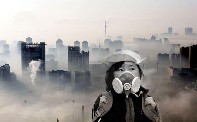 霾打一生肖，雾中寻觅的智慧启示与现代生活的落实