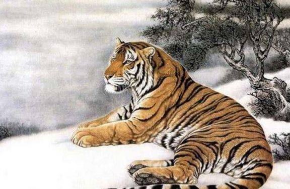 乐悠悠打一生肖，背后的智慧与策略