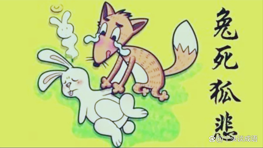 兔死狐悲打一个生肖、马上为你揭晓落实