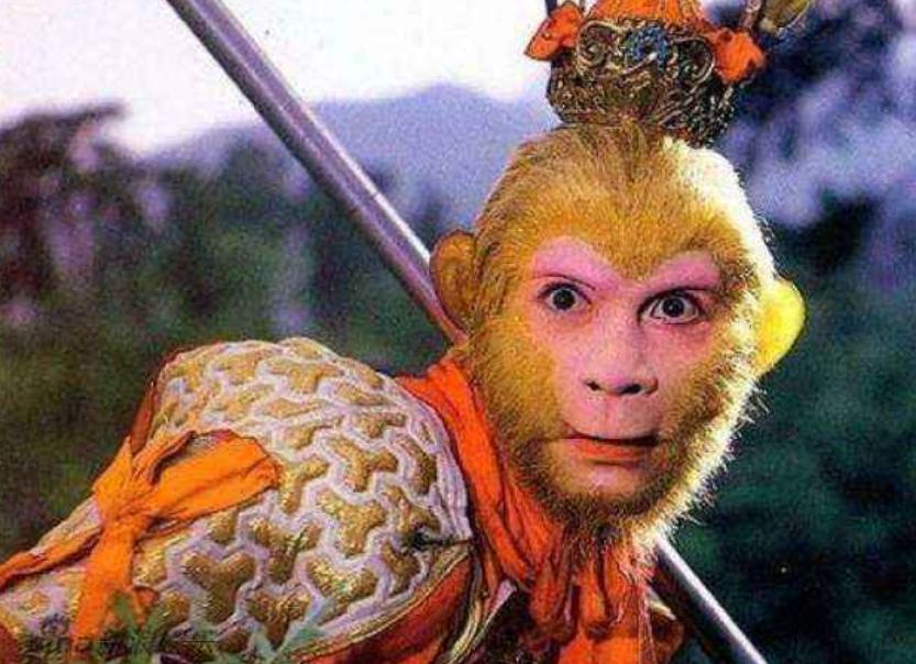 护送唐僧打一生肖、奥秘解释落实