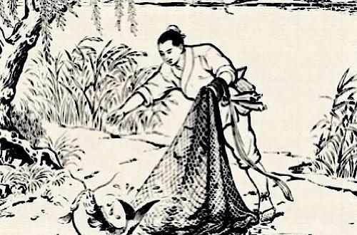 河鱼之疾打一生肖，谜团与真相的深度解析