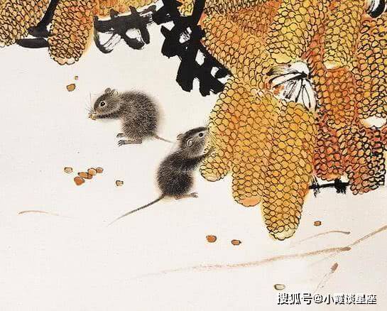 舍己为人，生肖鼠中蕴含的深刻哲理