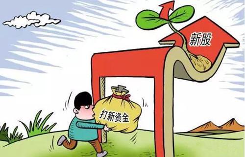 水中捞月打一生肖、热议解释落实 水中捞月打一生肖、热议解释落实