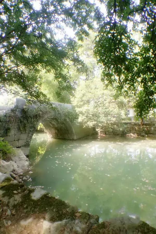 木人石心打一生肖、友爱作答落实解释