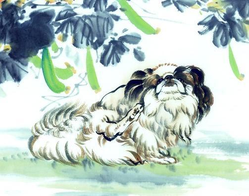 小宠物打一生肖、背后的智慧与策略