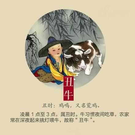 国家的生日打一生肖、之谜与人生哲理的深度解析