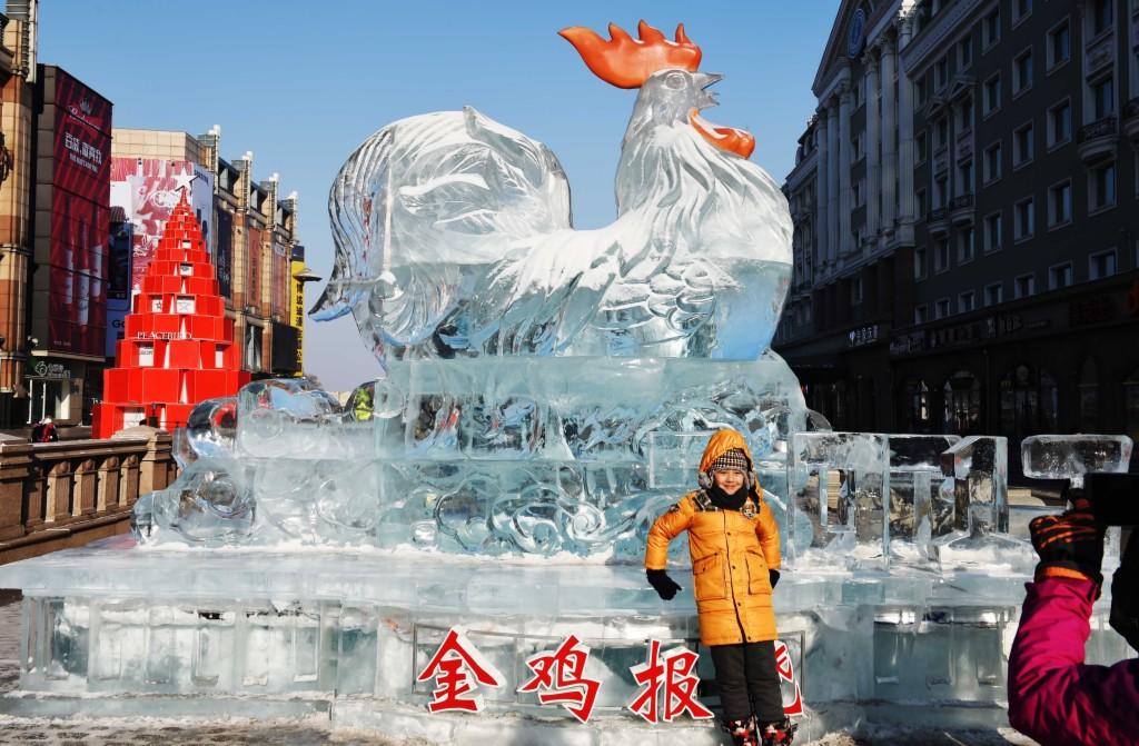 金鸡报晓,生肖鸡与社会进步的文化解析 金鸡报晓,生肖鸡与社会进步的文化解析