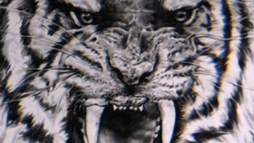 胆小如鼠打一个生肖、的精准解答与落实精神