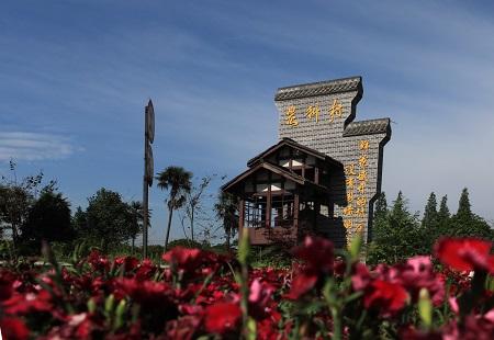 垂钓打一生肖、友爱作答落实解释 垂钓打一生肖、友爱作答落实解释