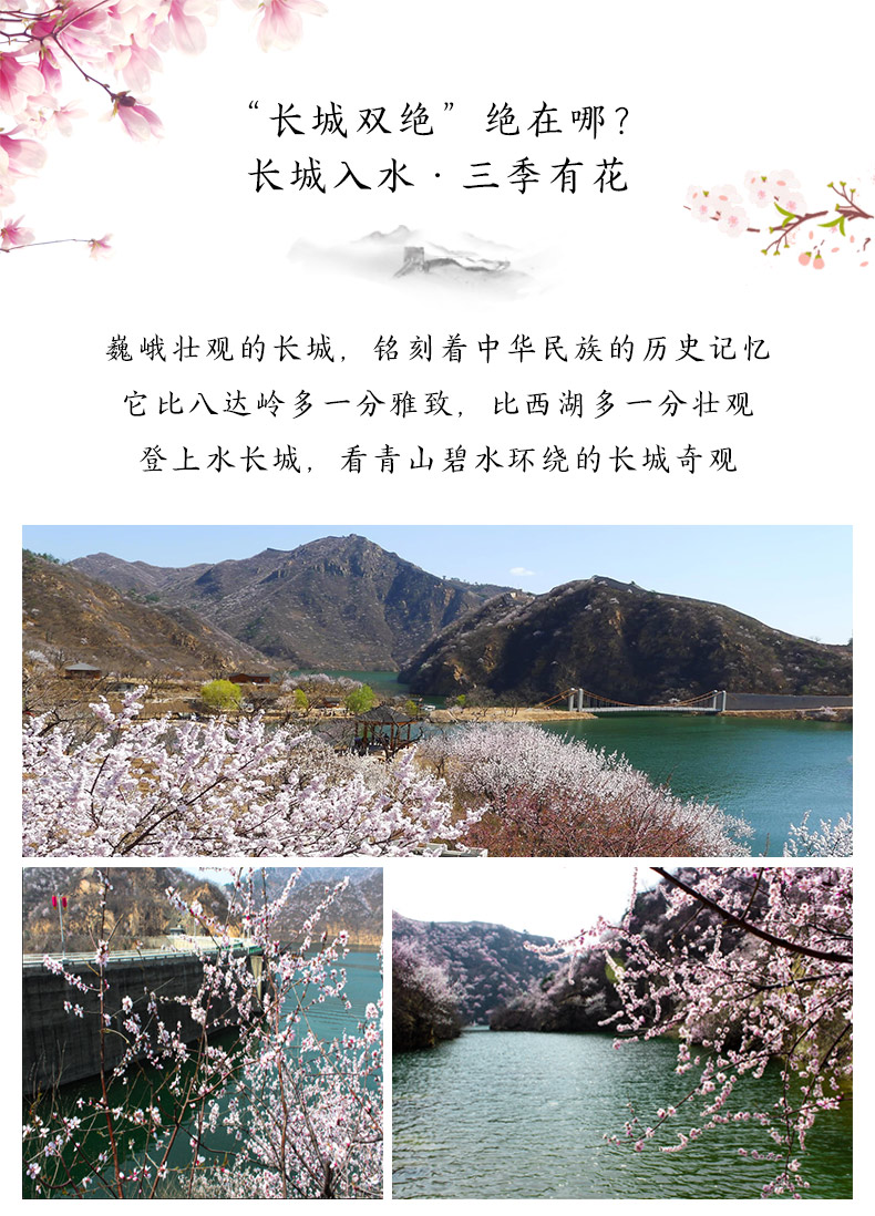 游山逛水与生肖之谜，社会进步与文化深度的交织