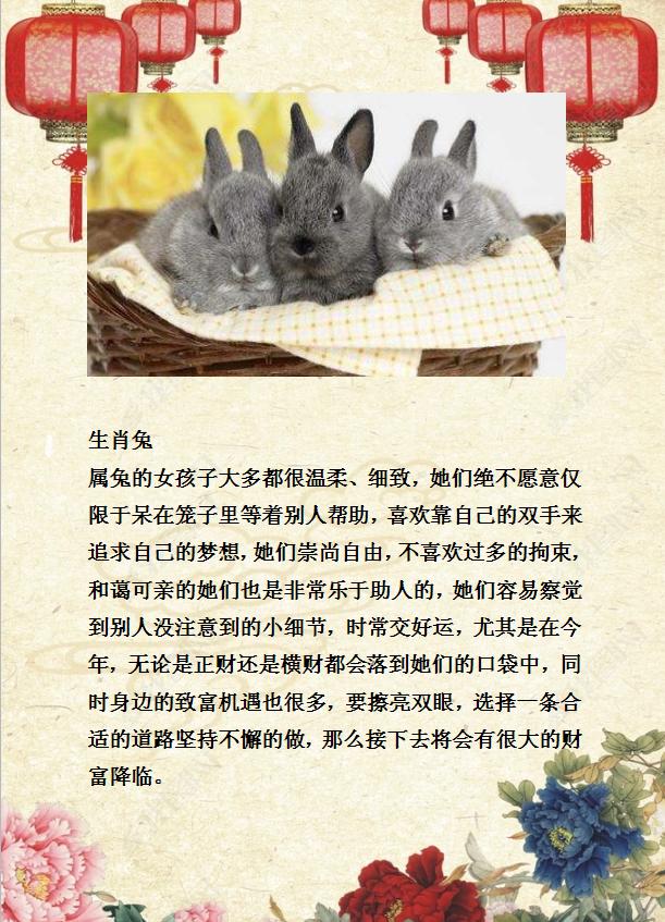 兔上兔下打一生肖，背后的智慧与策略