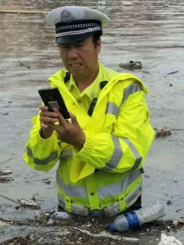 辞旧迎新，生肖与数字的奇妙交织