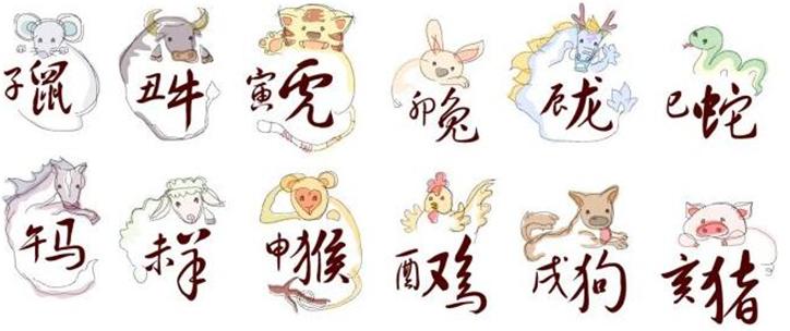 以九为本，揭秘生肖之谜，新型作答与落实解释的深度探索