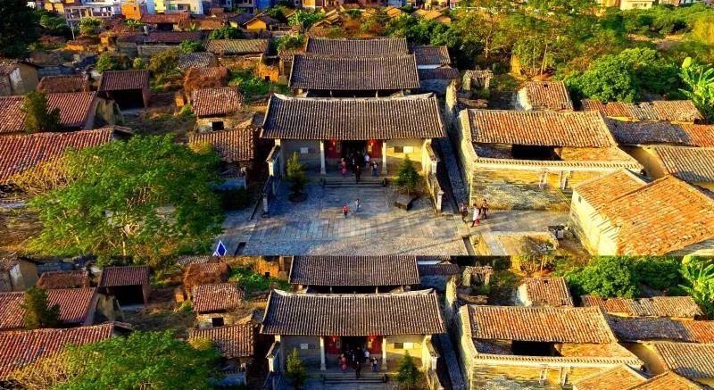 远芳侵古道，打一生肖的谜题解析与文化探索