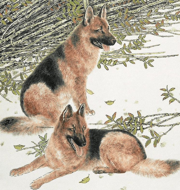 风声鹤唳打一生肖狗、新型作答落实解释 风声鹤唳打一生肖狗、新型作答落实解释