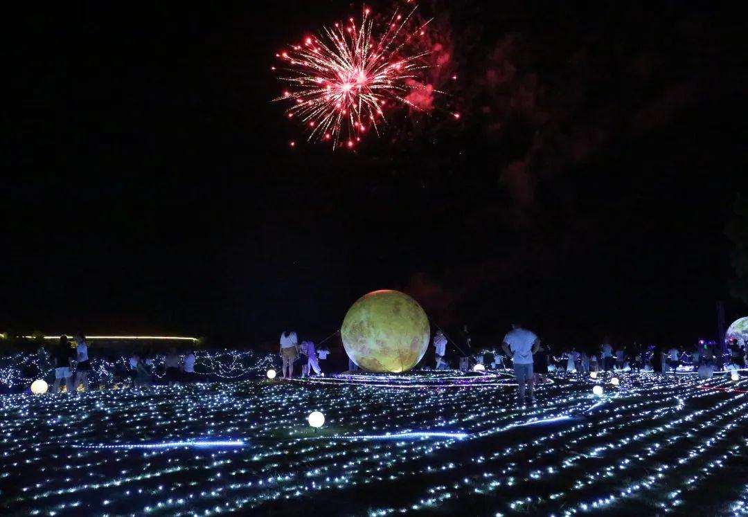 五光十色动物与生肖的奇妙对应—专业解析与文化趣谈