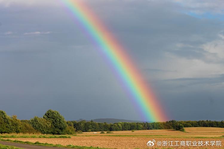 彩虹打一生肖、真相解释落实