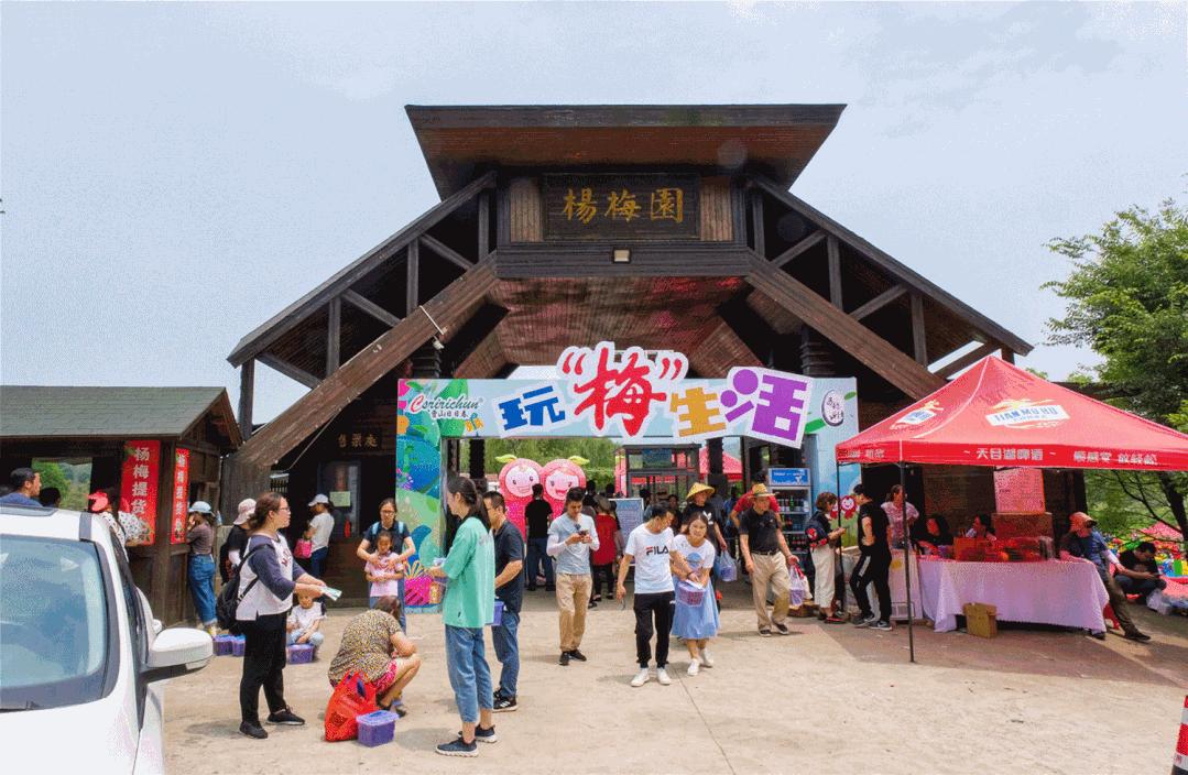 熟梅天气一打一生肖、深度解析与智慧思考 熟梅天气一打一生肖、深度解析与智慧思考