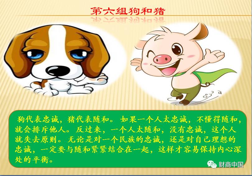 无意狗有意打一生肖、背后的智慧与哲理