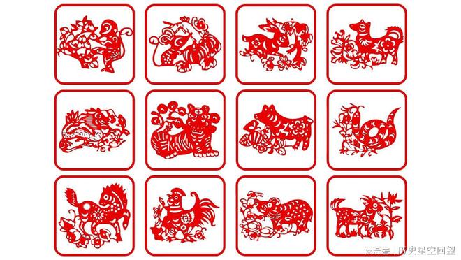 七零八落打一生肖，实证解释与文化解读