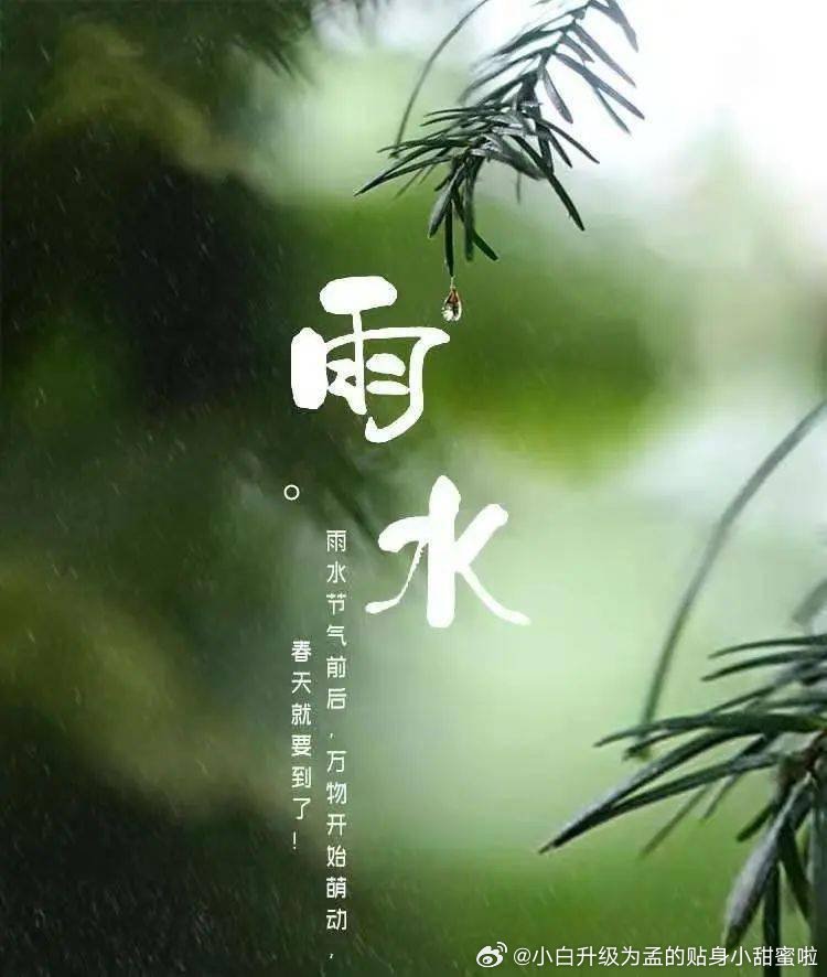 春风沐雨与生肖之谜，能人解释与现代生活的落实