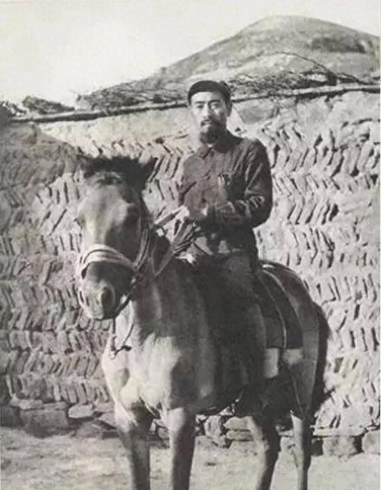 君子之交打一生肖、团结解释落实 君子之交打一生肖、团结解释落实