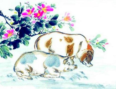 苗条打一生肖,揭秘背后的文化与智慧 苗条打一生肖,揭秘背后的文化与智慧