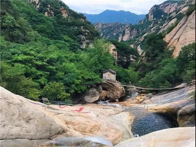 大暑打一生肖、的故事与寓意