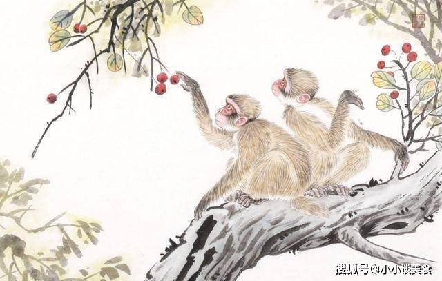 尽善尽美打一生肖、背后的坚韧与不屈