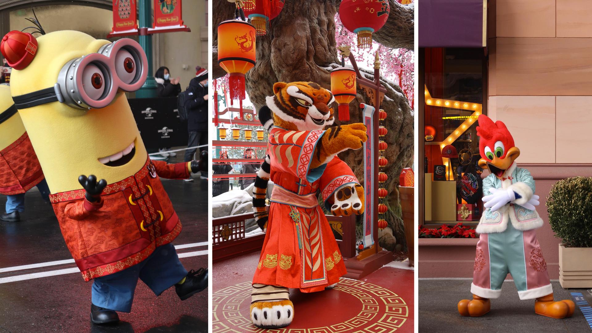 雍容华贵之谜，生肖背后的哲理与人生启示