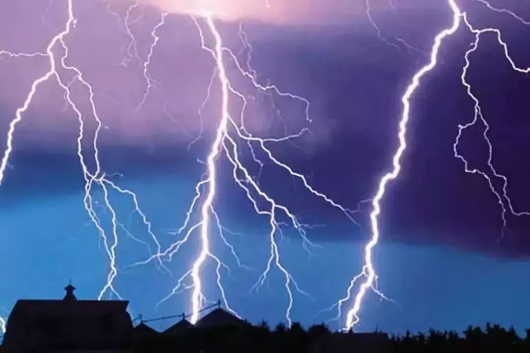 揭秘风吹露条闪电光打一生肖的奥秘解释与落实