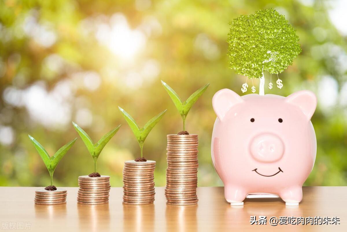 日期打一生肖、选择解释落实