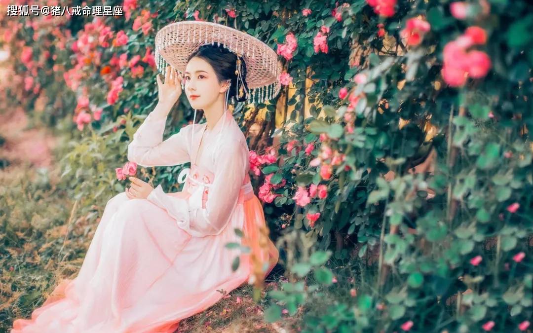 十八美正花季打一生肖，深度解析与智慧思考