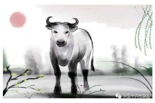 汗牛充栋打一个生肖、友爱作答落实解释