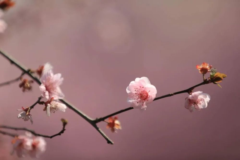 春暖花开,谁来落实解答? 春暖花开,谁来落实解答?